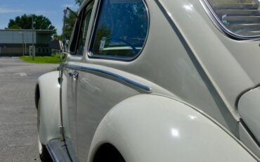 Unknown-Beetle-1966-Pearl-White-Pigalle-Red-6