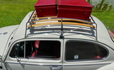 Unknown-Beetle-1966-Pearl-White-Pigalle-Red-7
