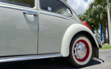 Unknown-Beetle-1966-Pearl-White-Pigalle-Red-8