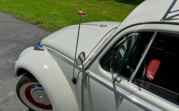 Unknown-Beetle-1966-Pearl-White-Pigalle-Red-9