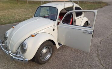 Unknown-Beetle-1966-Pearl-White-Pigalle-Red-9