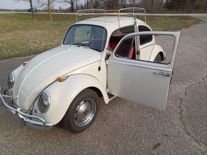 Unknown-Beetle-1966-Pearl-White-Pigalle-Red-9