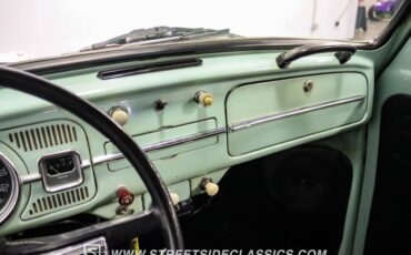 Unknown-Beetle-1966-Seafoam-Green-Black-10