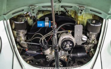 Unknown-Beetle-1966-Seafoam-Green-Black-19