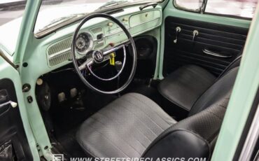 Unknown-Beetle-1966-Seafoam-Green-Black-20