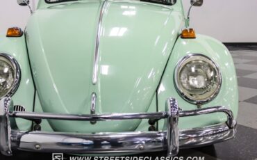 Unknown-Beetle-1966-Seafoam-Green-Black-32