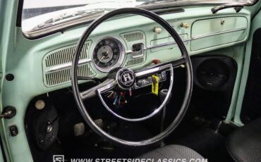 Unknown-Beetle-1966-Seafoam-Green-Black-37