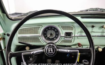 Unknown-Beetle-1966-Seafoam-Green-Black-38