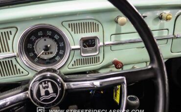 Unknown-Beetle-1966-Seafoam-Green-Black-40