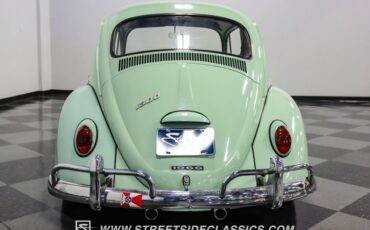 Unknown-Beetle-1966-Seafoam-Green-Black-46