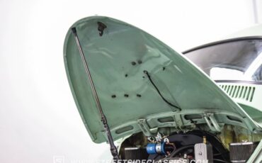 Unknown-Beetle-1966-Seafoam-Green-Black-47