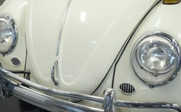 Unknown-Beetle-1966-White-Sand-Burgundy-22