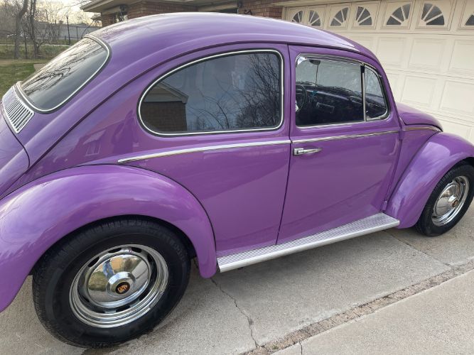 Unknown-Beetle-1966