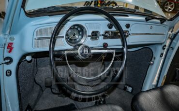 Unknown-Beetle-1967-Blue-Black-1