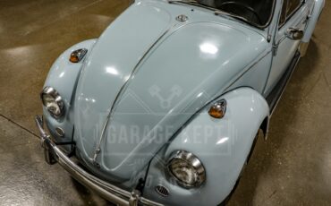Unknown-Beetle-1967-Blue-Black-14