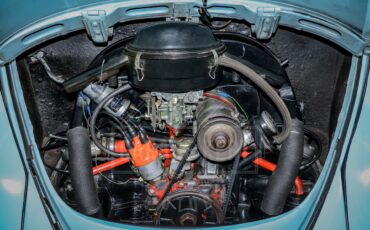 Unknown-Beetle-1967-Blue-Black-15