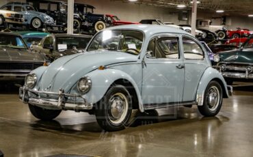 Unknown-Beetle-1967-Blue-Black-17