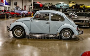 Unknown-Beetle-1967-Blue-Black-19