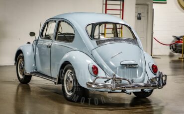 Unknown-Beetle-1967-Blue-Black-21