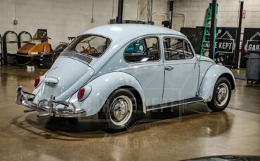Unknown-Beetle-1967-Blue-Black-23
