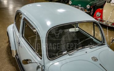 Unknown-Beetle-1967-Blue-Black-29