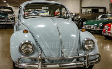 Unknown-Beetle-1967-Blue-Black-31