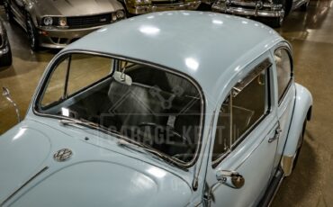 Unknown-Beetle-1967-Blue-Black-37