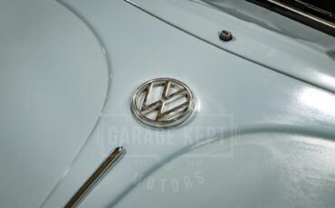 Unknown-Beetle-1967-Blue-Black-39