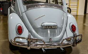 Unknown-Beetle-1967-Blue-Black-4