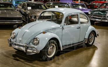 Unknown-Beetle-1967-Blue-Black-42