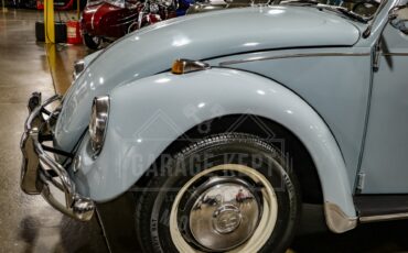 Unknown-Beetle-1967-Blue-Black-43