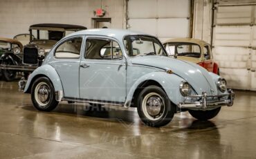 Unknown-Beetle-1967-Blue-Black-44