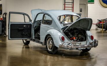 Unknown-Beetle-1967-Blue-Black-45