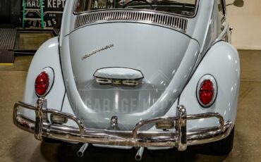 Unknown-Beetle-1967-Blue-Black-46