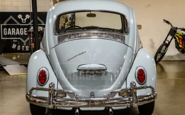 Unknown-Beetle-1967-Blue-Black-47