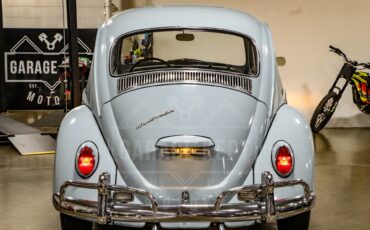 Unknown-Beetle-1967-Blue-Black-48