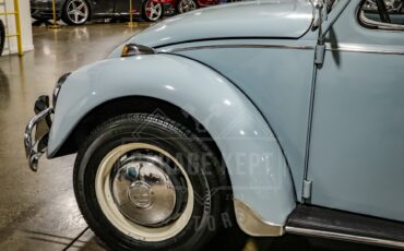Unknown-Beetle-1967-Blue-Black-6