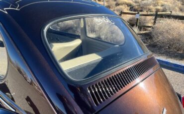 Unknown-Beetle-1967-Custom-16
