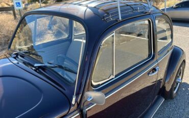 Unknown-Beetle-1967-Custom-18