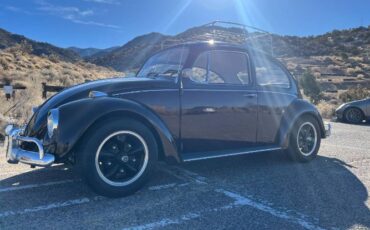Unknown-Beetle-1967-Custom-19