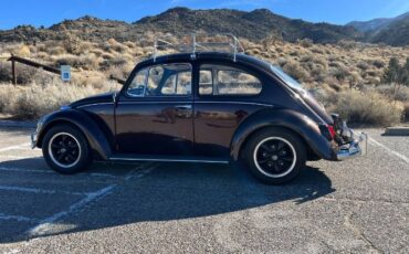 Unknown-Beetle-1967-Custom-20