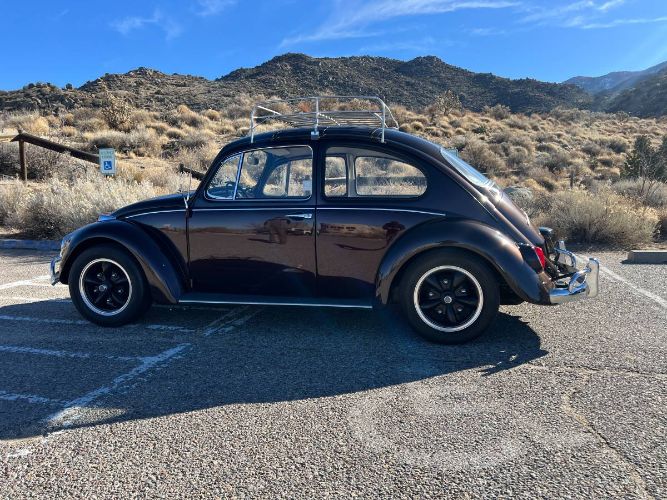 Unknown-Beetle-1967-Custom-20
