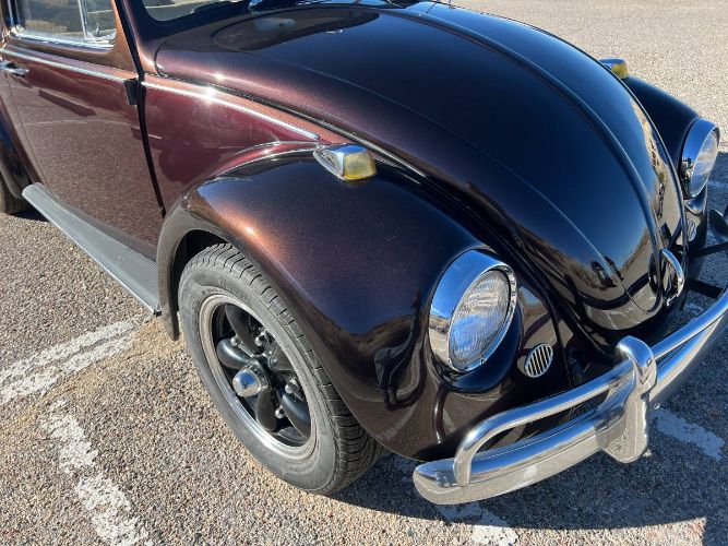Unknown-Beetle-1967-Custom-21