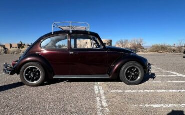 Unknown-Beetle-1967-Custom-23