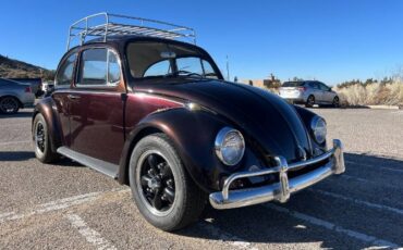 Unknown-Beetle-1967-Custom