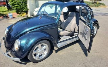 Unknown-Beetle-1967-Green-5