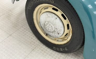Unknown-Beetle-1967-Java-Green-Black-17