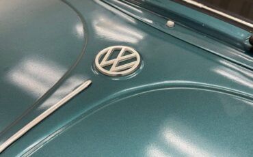 Unknown-Beetle-1967-Java-Green-Black-18