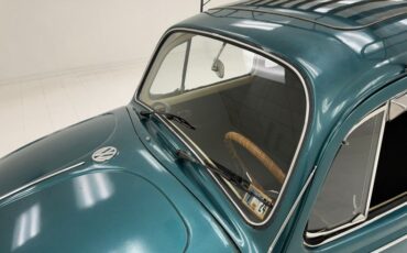 Unknown-Beetle-1967-Java-Green-Black-19