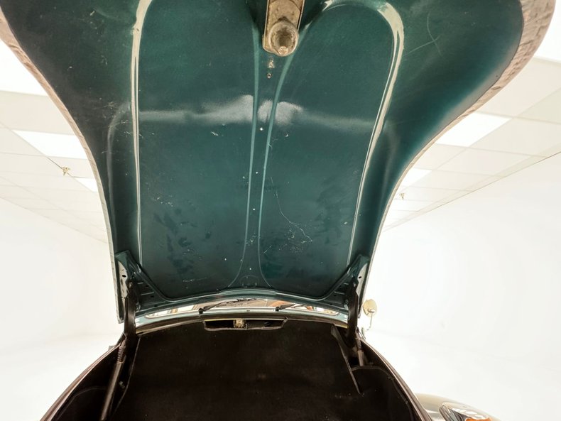 Unknown-Beetle-1967-Java-Green-Black-31